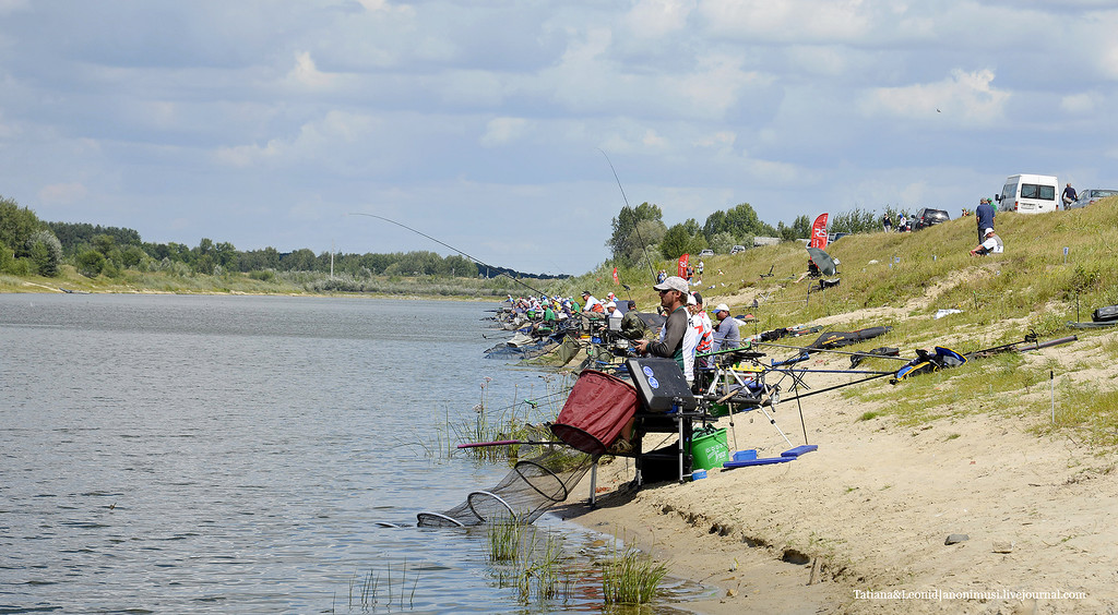 В Гомеле проходит чемпионат Беларуси по спортивной ловле рыбы на фидер