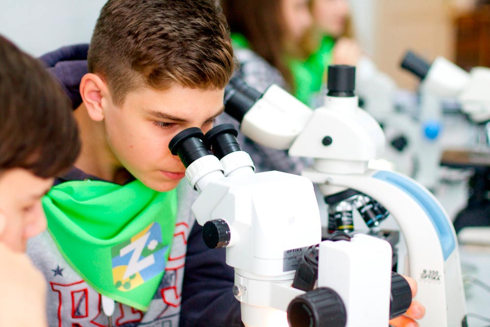 Ресурсный химико-биологический центр для школьников планируют создать в Гомеле 