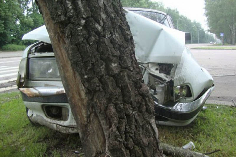 В Светлогорском районе водитель «Рено» потерял сознание за рулем и врезался в дерево
