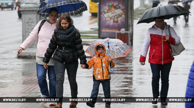 Дожди и грозы ожидаются в Беларуси 25 апреля
