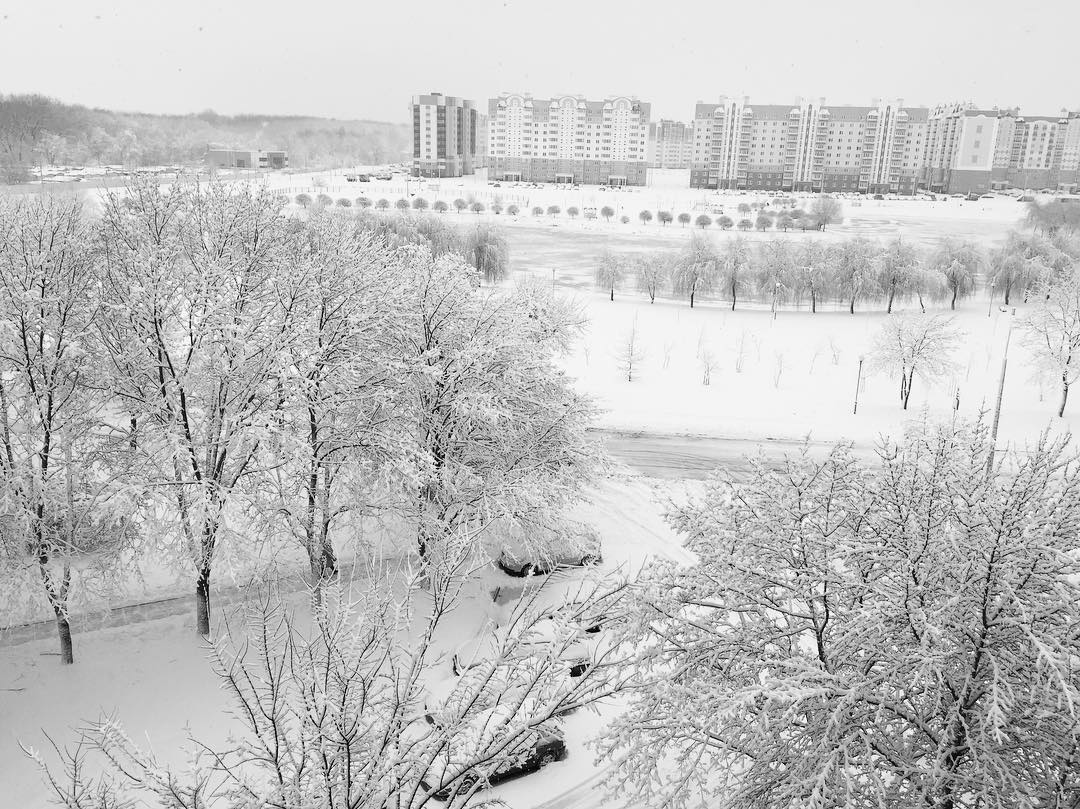 В Гомеле и Мозыре за сутки выпала декадная норма снега