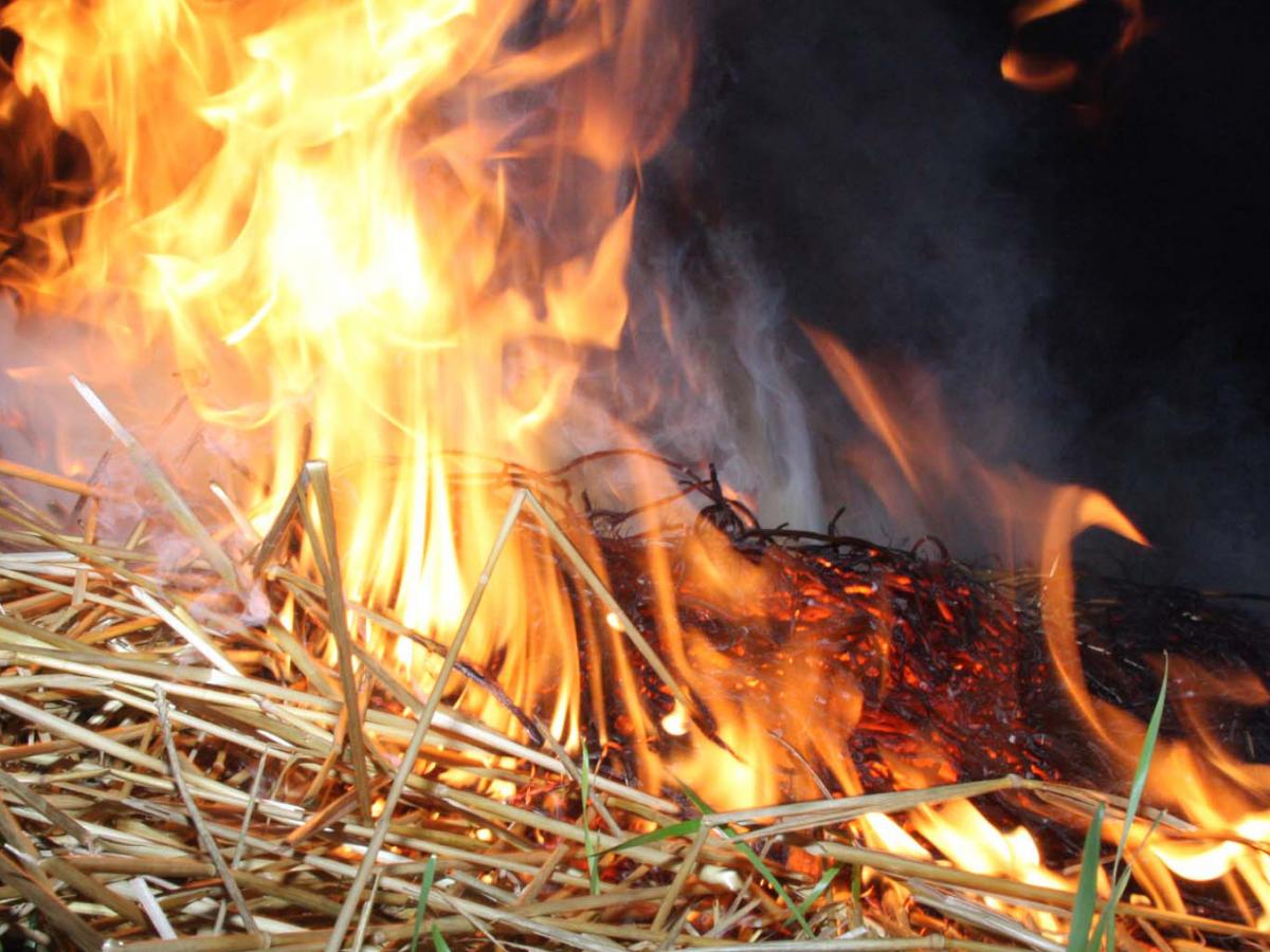 Поджигали спички, бросали в стог: из-за шалости мальчика и девочки в Лельчицах сгорел сарай