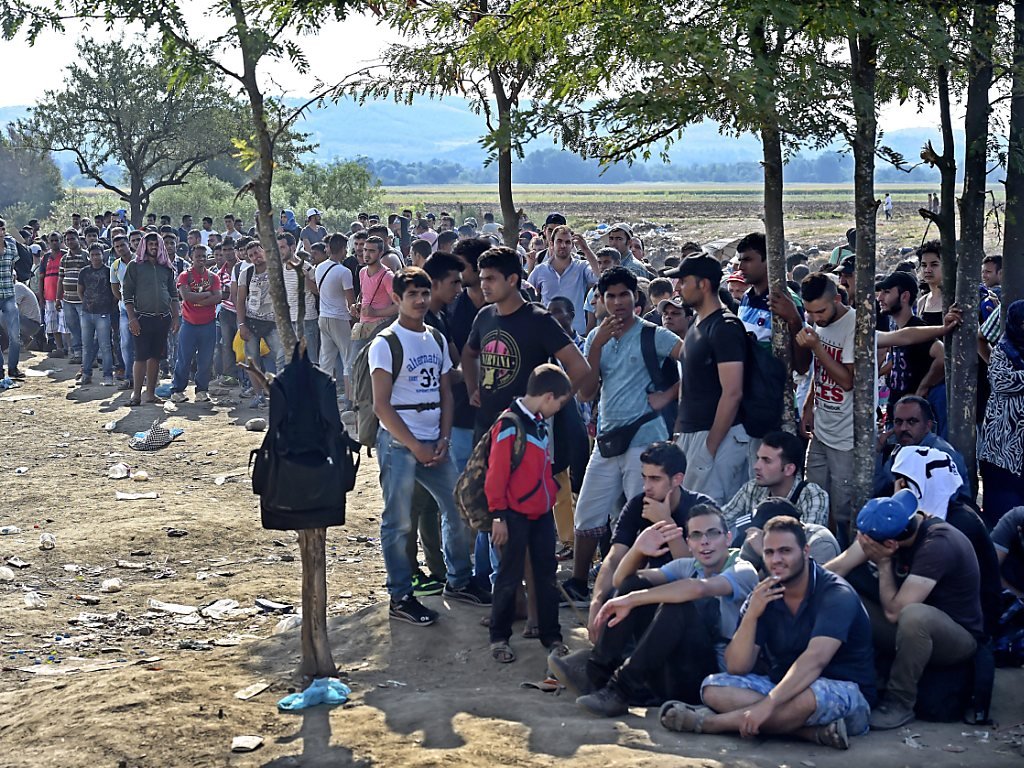 При попытке прорыва в Македонию пострадали около 300 мигрантов