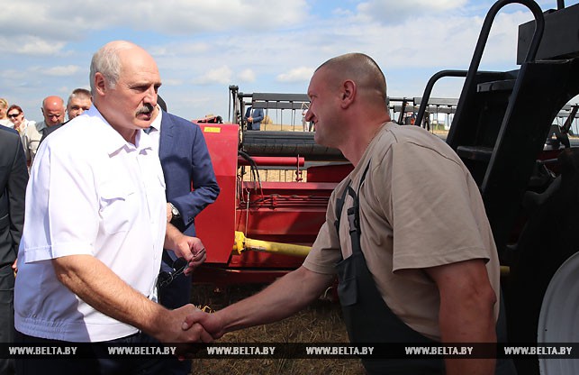 «Чтобы собрать до зернышка» — Лукашенко ждет от аграриев максимум напряжения во время уборочной