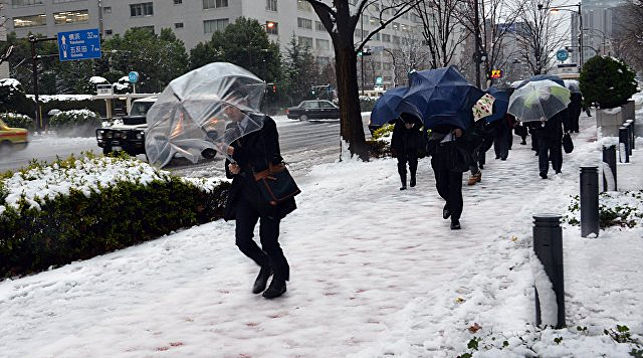 Рекордные снегопады обрушились на Японию, есть жертвы
