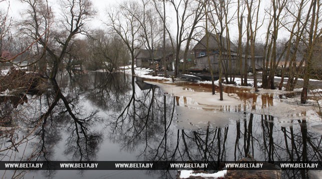 В Гомельской области уровень воды в Припяти и Днепре превысит средние многолетние значения