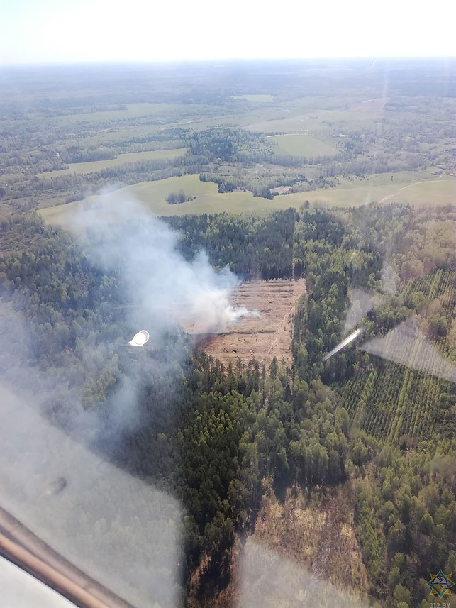 Авиация МЧС за сутки обнаружила 4 лесных пожара в Гомельской области