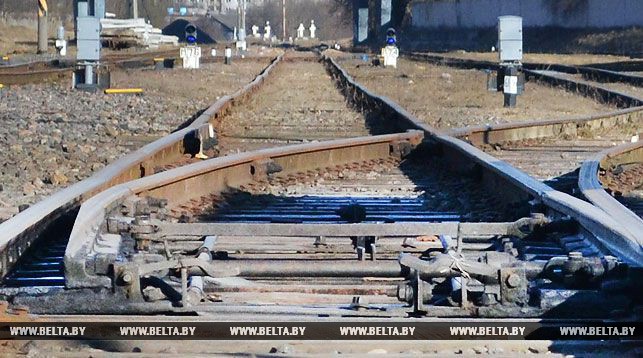 Женщина погибла под колесами поезда в Гомельском районе
