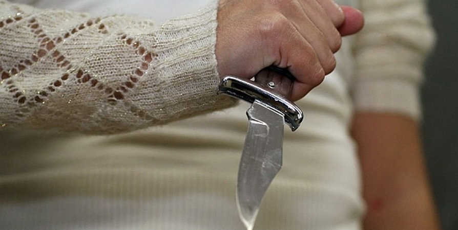 В Рогачевском районе пенсионерка пыталась ножом убить своего сына