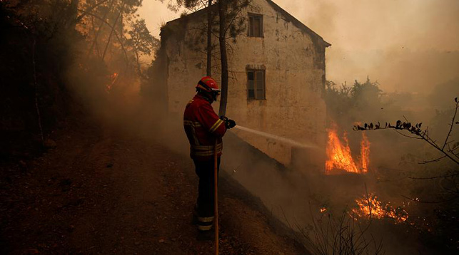 В Италии арестованы пожарные, поджигавшие лес ради премий