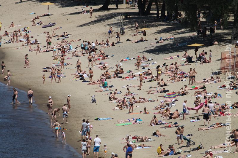 В Гомеле организовано семь пляжей для купания. Откроются ли еще два — пока неизвестно