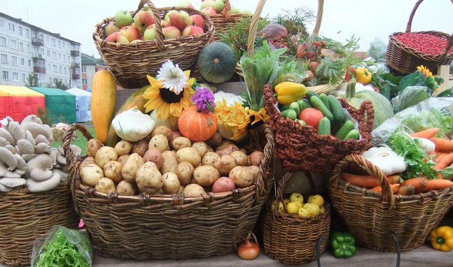 15 сентября в стране стартуют ярмарки сельхозпродукции