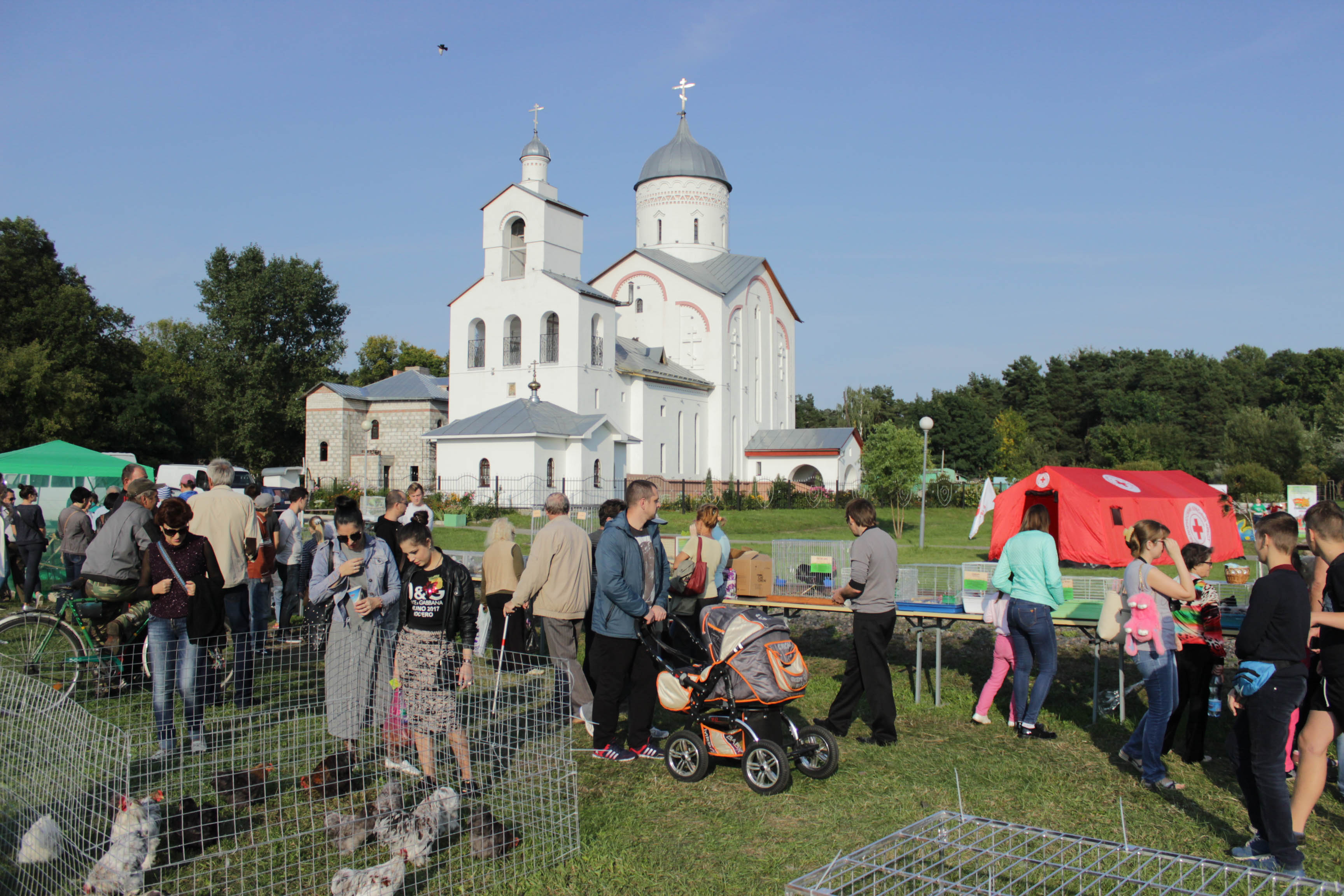Новобелицкий район празднует свой 240-й день рождения
