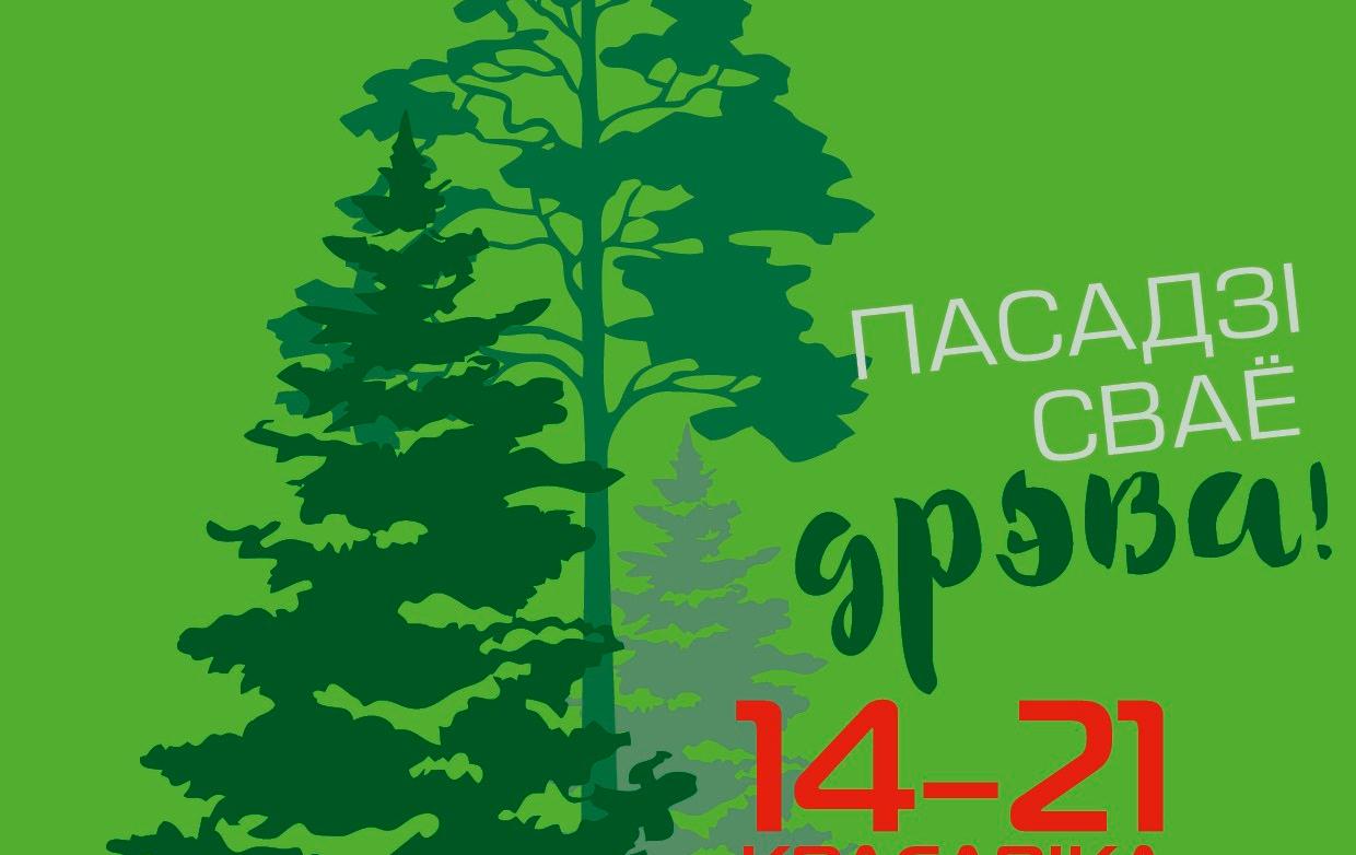 Акция «Неделя леса» пройдет в Беларуси с 14 по 21 апреля