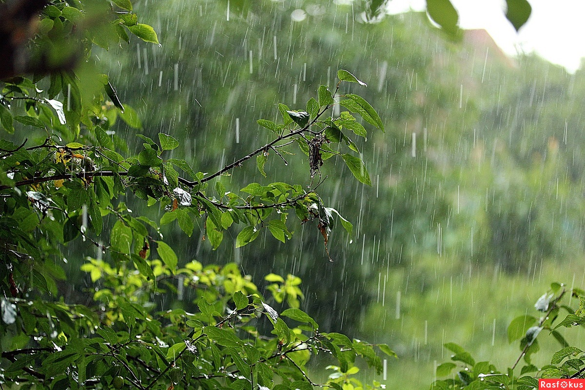 Ай, государь май: для урожая дождика дай