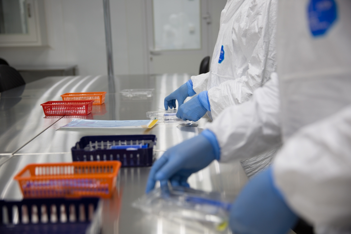 Лабораторию опытного производства медизделий с антибактериальным покрытием планируют открыть в Гомеле