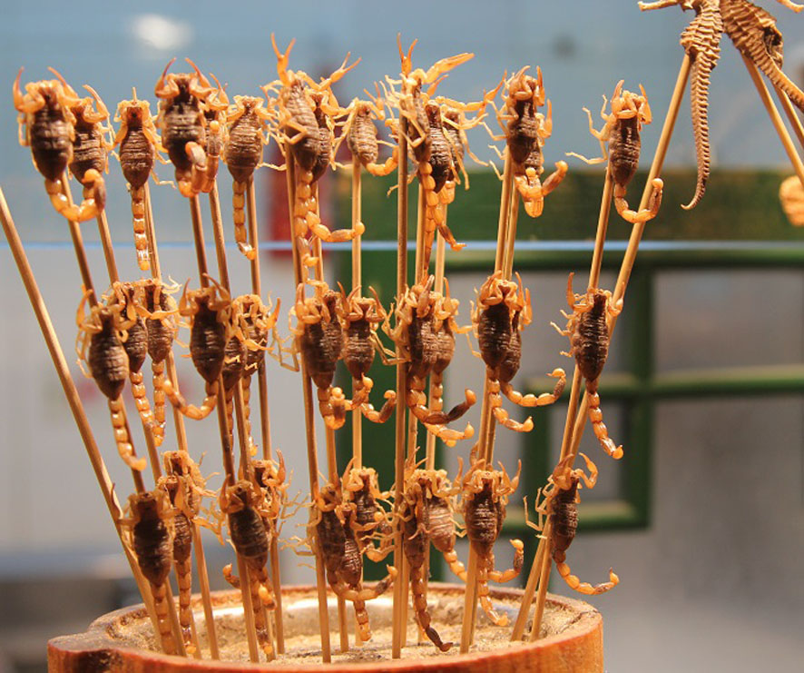 china-food-insects.jpg