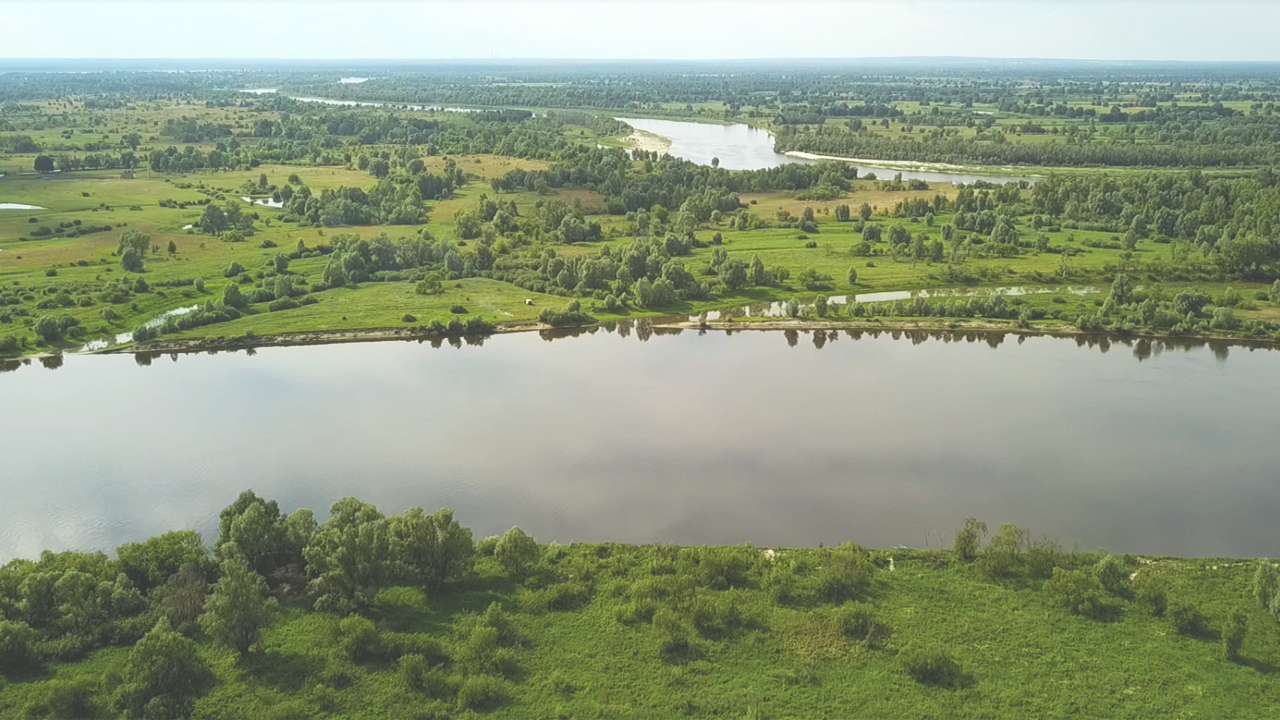 Гомельская область наровлянский