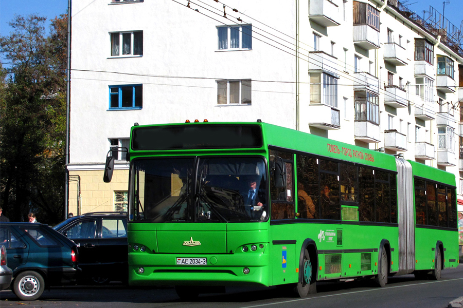 Автобус гомель санкт петербург маршрут остановки и расписание