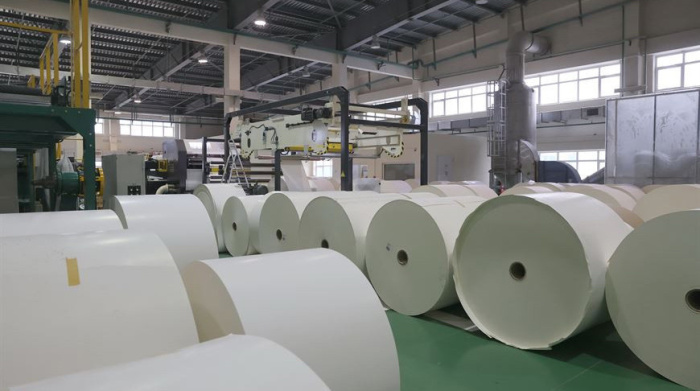 Производство продукции Добрушской бумажной фабрики выросло в 2023 году на 14%