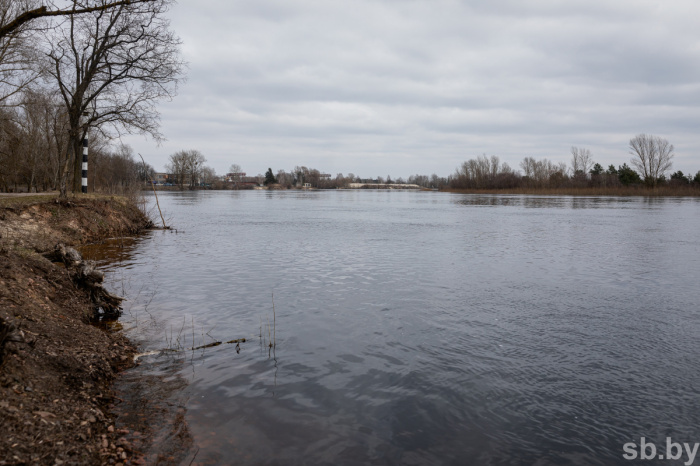 За сутки паводковыми водами в Гомельской области подтоплены 35 подворий