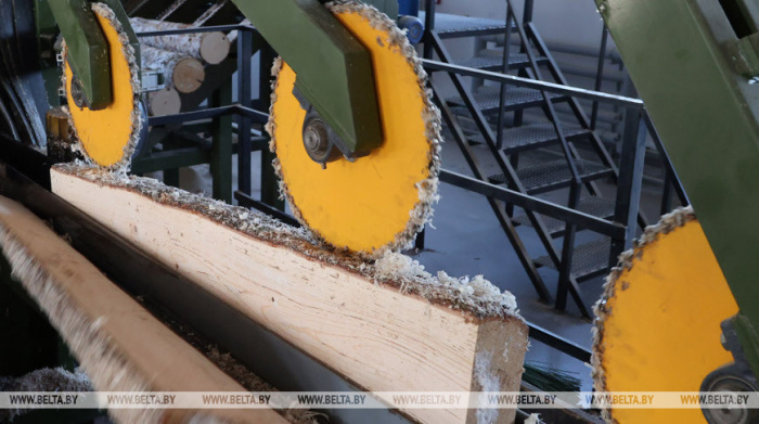 Беларусь увеличила долю в уставных фондах 9 предприятий строительной отрасли и деревообработки