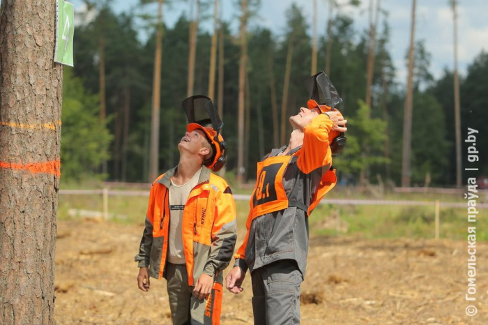 На базе Буда-Кошелевского опытного лесхоза проходят областные соревнования вальщиков леса «Лесоруб-2024» (обновляется)