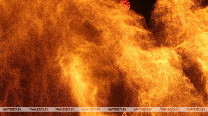 Более 160 пожаров произошло в Гомельской области с начала года