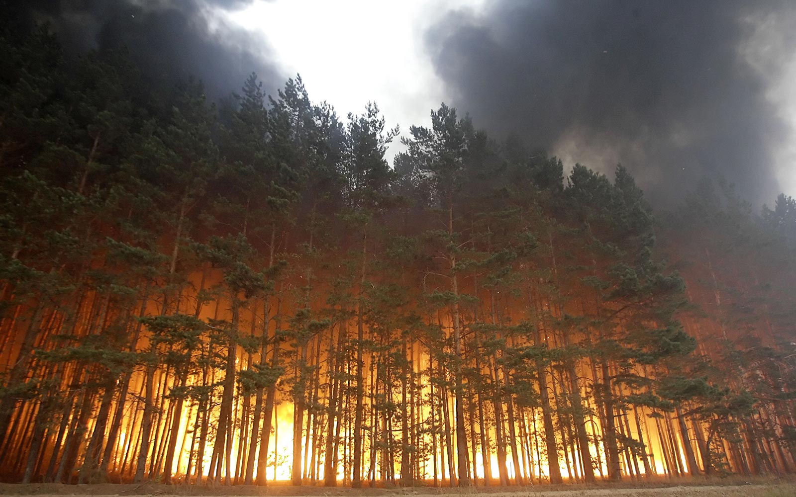 Forest fire is. Россия 2010 год Лесной пожар. Природные пожары в России (2010). Лесные пожары в Сибири (2015). Горящий лес.