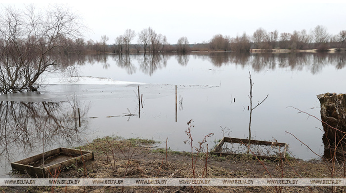 Талые воды подтопили подворья и дачные дома в Брестской и Гомельской областях