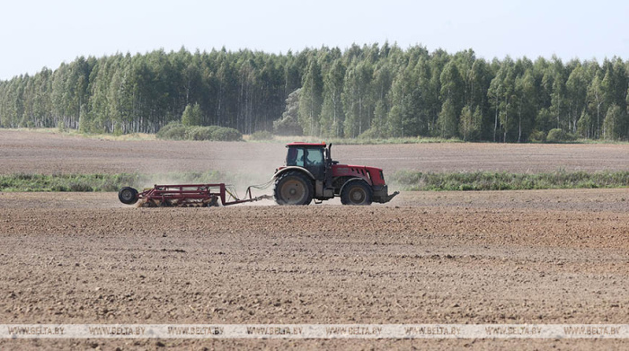 В Белгидромете рассказали, как изменение климата влияет на экономику Беларуси