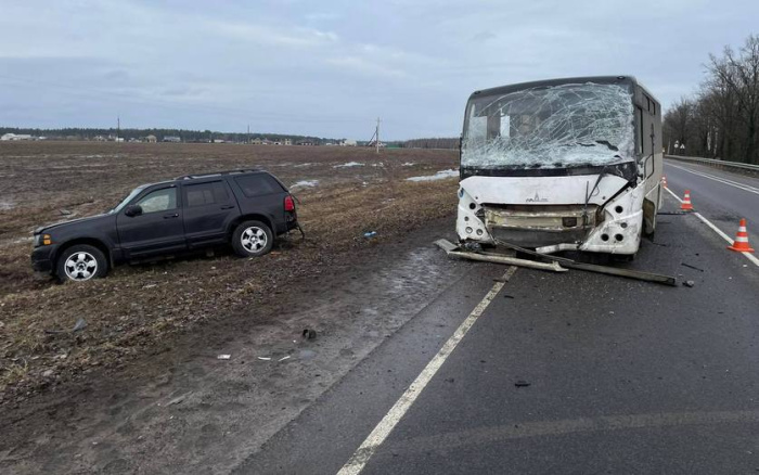 В отношении нетрезвого водителя из Рогачева, по вине которого погиб пассажир, возбуждено уголовное дело