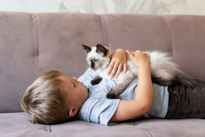 Эксперт рассказал, как кошка может помочь детям справиться с аллергией на домашних животных