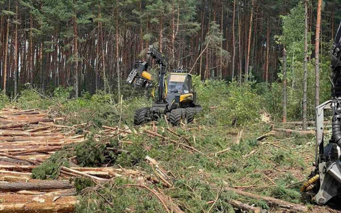 В Лельчицком районе лесхозы продолжают ревизию пострадавших от непогоды территорий