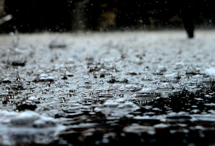 28 октября в Гомеле прогнозируют сильный продолжительный дождь