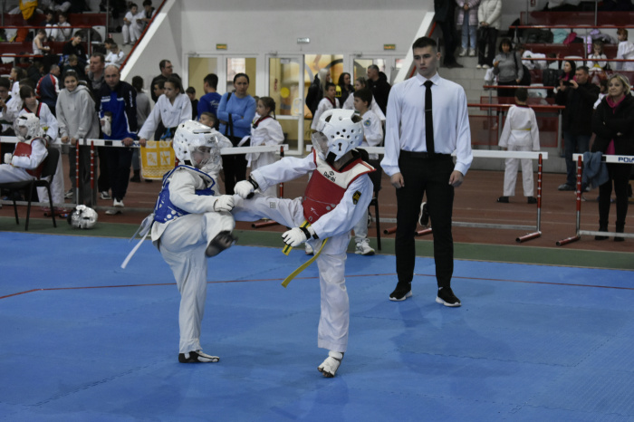 В Гомеле завершился областной детско-юношеский турнир по тхэквондо памяти Михаила Николаева