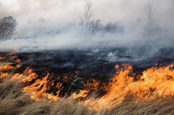 МЧС напоминает: выжигание сухой растительности, пожнивных остатков, трав на корню категорически запрещено