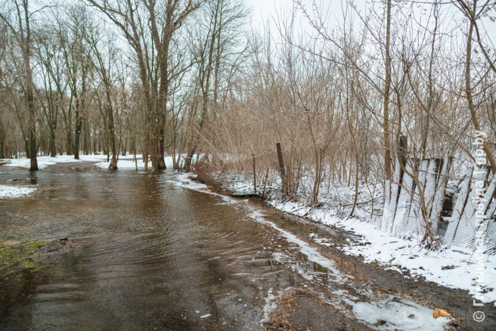 За сутки паводковыми водами подтоплен 1 участок дороги в Ветковском районе