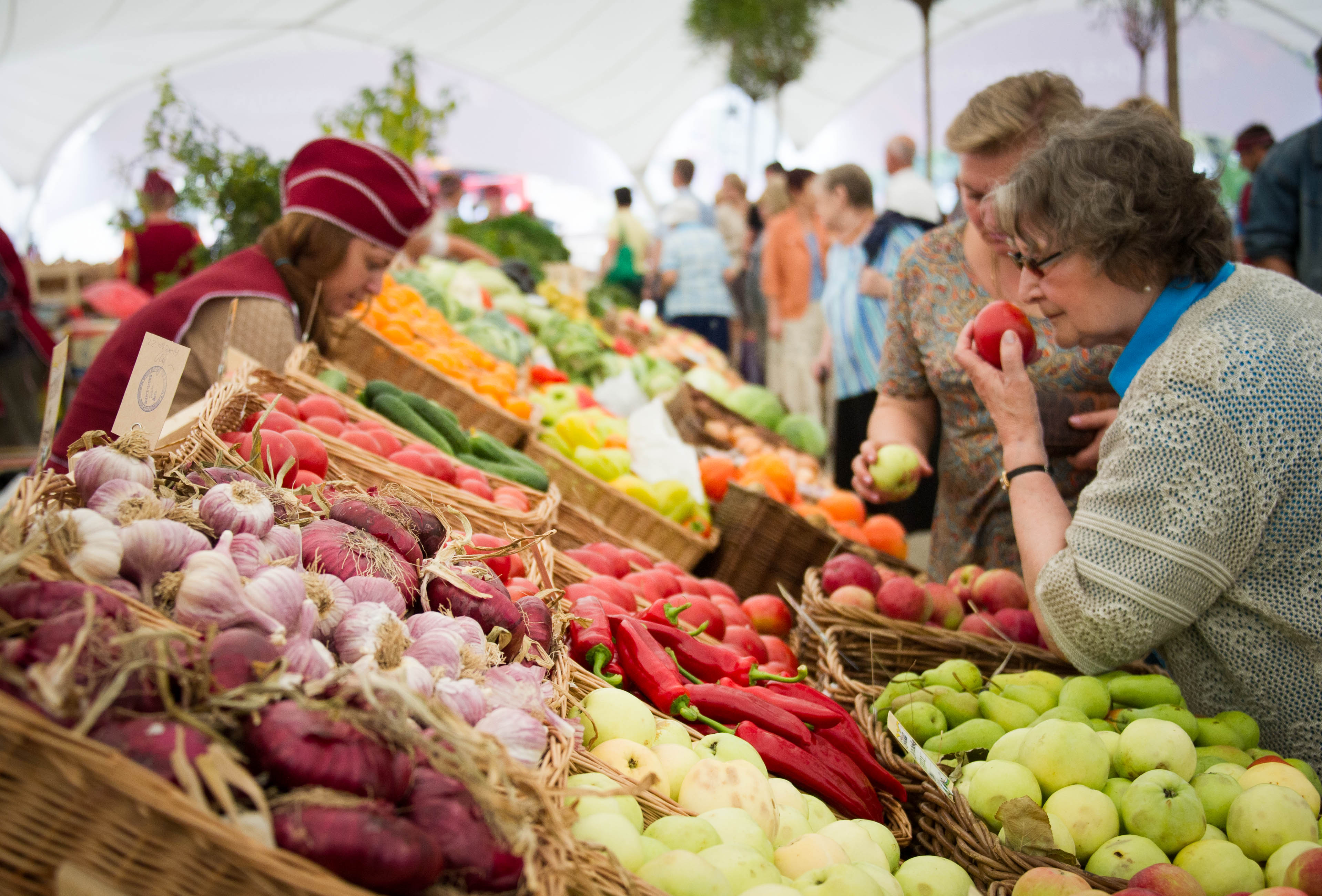 Цена фермерских овощей. Овощи на рынке. Овощной рынок. Продовольственный рынок. На рынке.