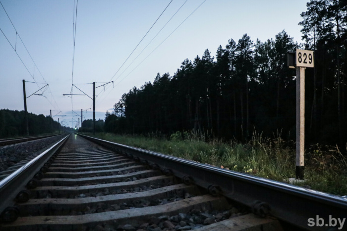 В Жлобинском районе на железной дороге травмирован местный житель
