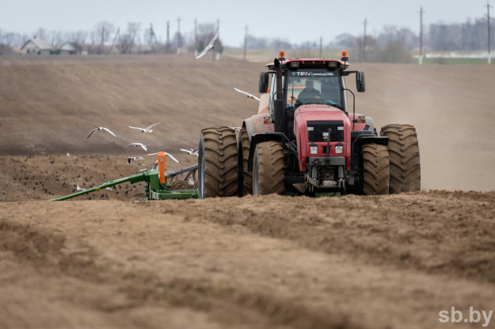 Сельхозпредприятия 16 районов Гомельской области приступили к севу яровых зерновых