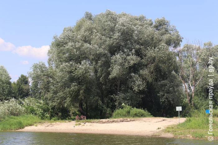 Санэпидслужба обновила перечень зон отдыха, где ограничено купание в Гомельской области