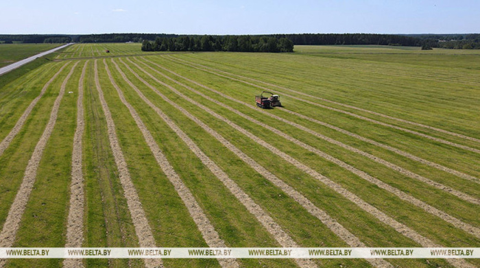 В Беларуси травы второго укоса убраны с почти 70% площадей