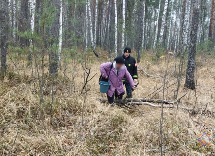 Калинковичские спасатели пришли на помощь женщине, которая заблудилась в лесу