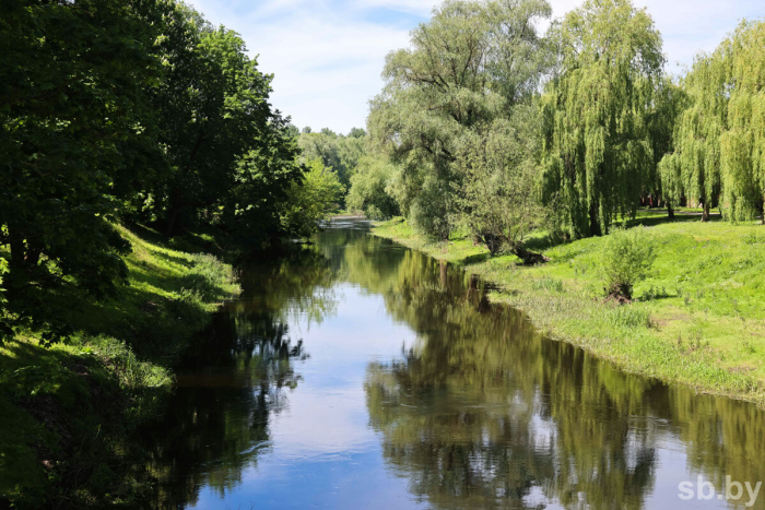 В Гомельской области в июле откроют новый водный экологический маршрут