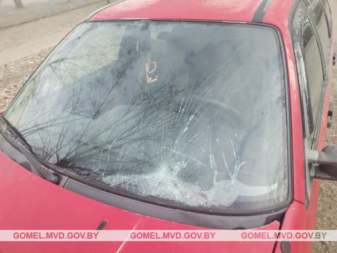В Жлобине водитель сбил женщину на пешеходном переходе