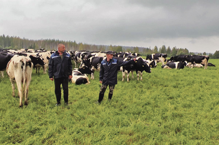 Плюс 63 тонны молока — ежедневная прибавка молока в Гомельской области. За счет чего?