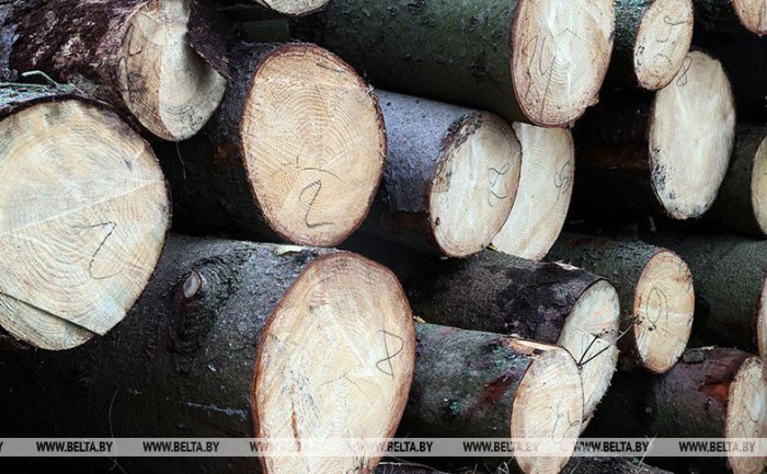 Правительство установило таксовую стоимость на древесину на корню