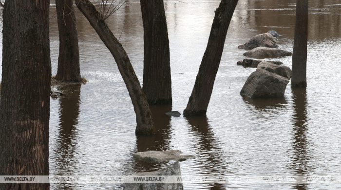 На реках Беларуси отмечается рост уровней воды. В том числе и в Гомельской области