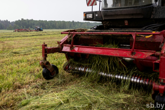 В Беларуси заготовлено более полумиллиона тонн сенажа